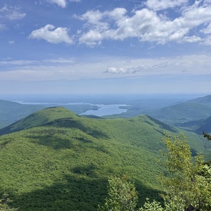 Fundraising Page: Ryan Covey